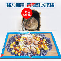 2025年度十款熱門粘鼠板產品榜 居家防鼠，值得入手的強力推薦