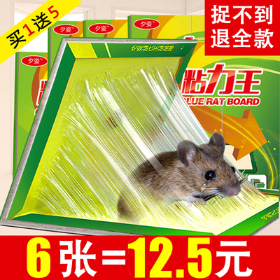 虎貓汽車驅(qū)鼠器360購物全面指南 超聲波技術(shù)解析與360購物現(xiàn)場測試對(duì)比粘鼠板汽車使用，買不買先看，體驗(yàn)真實(shí)